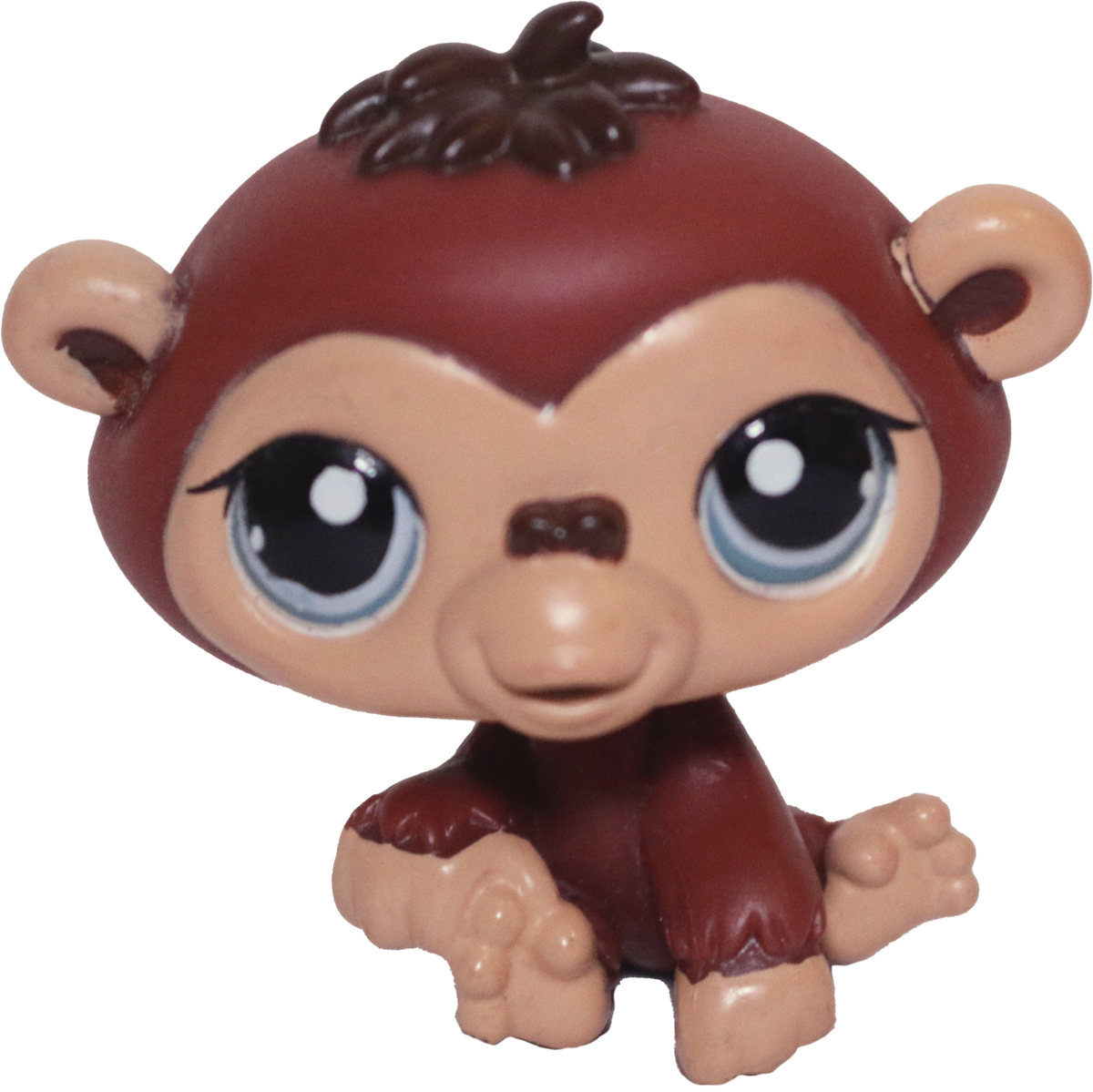 #1510 Chimpanzee