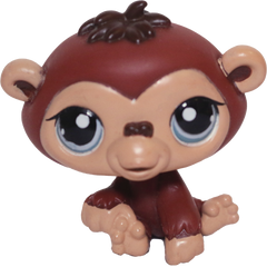 #1510 Chimpanzee