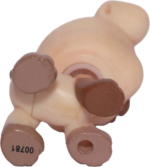#1516 Boxer