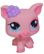 #1548 Pig