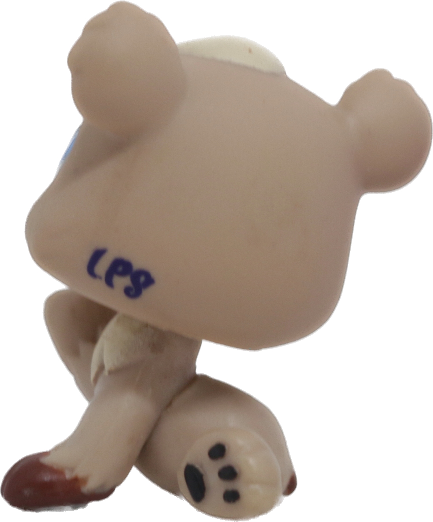 #1555 Bear