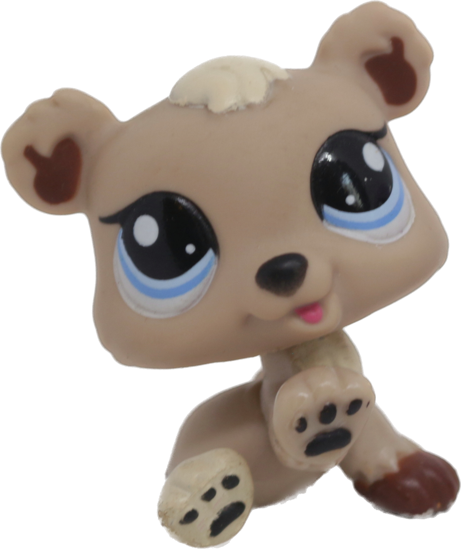 #1555 Bear