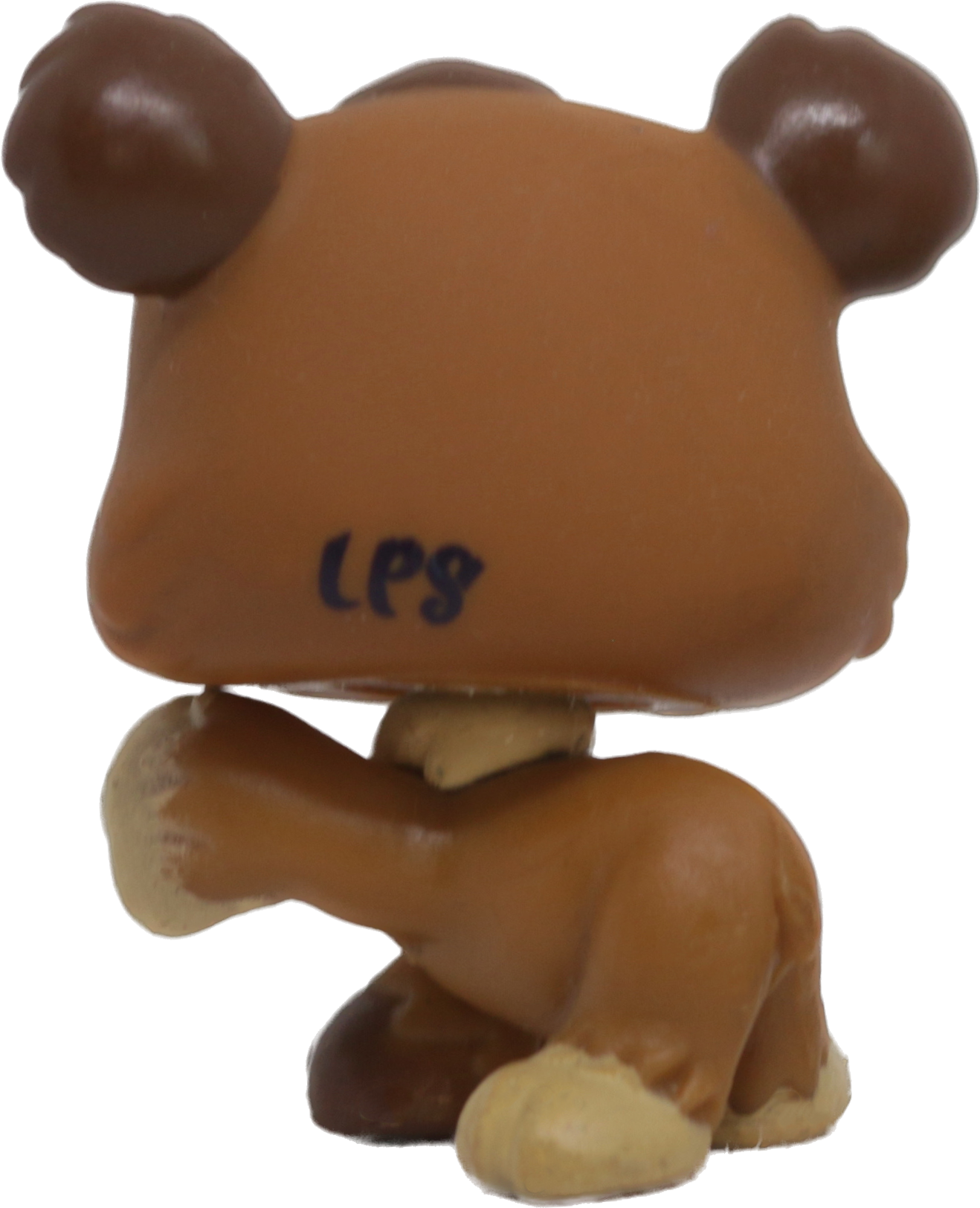 #1556 Bear