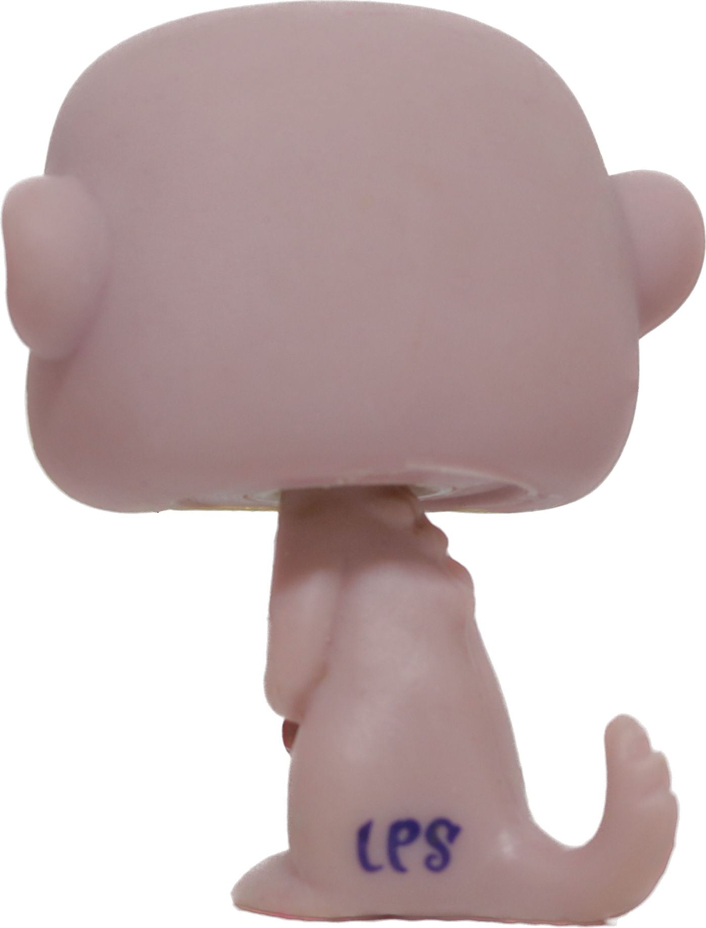 #1564 Meerkat