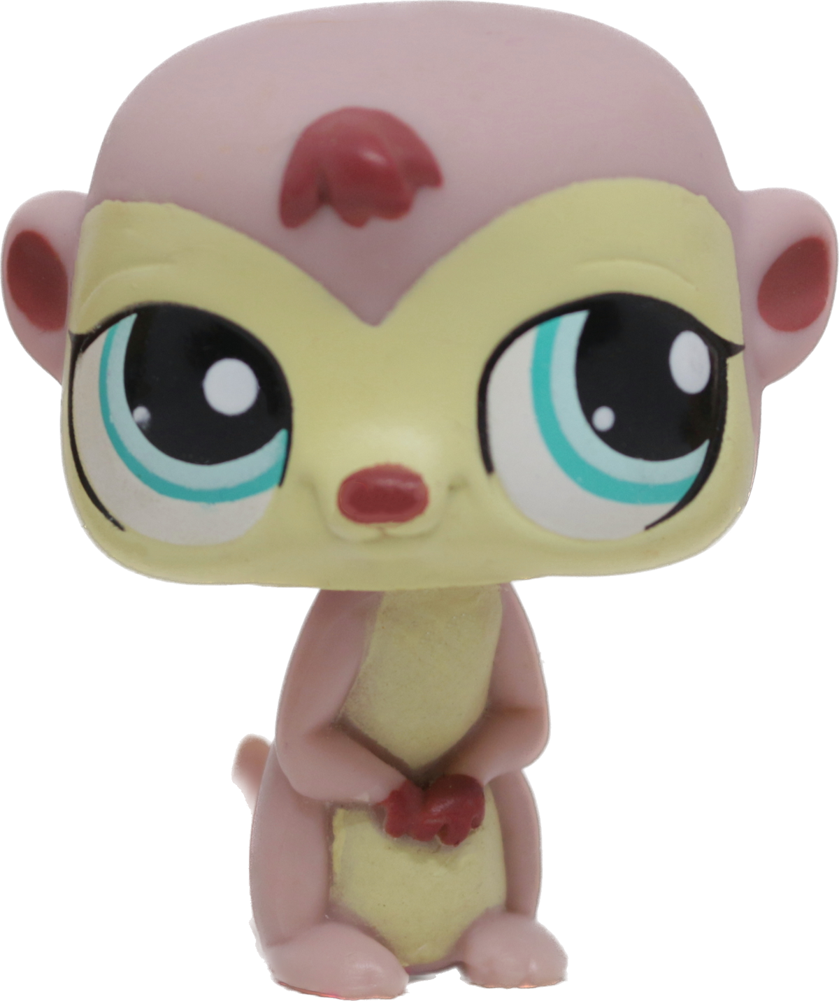 #1564 Meerkat