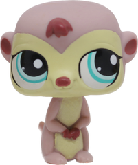 #1564 Meerkat