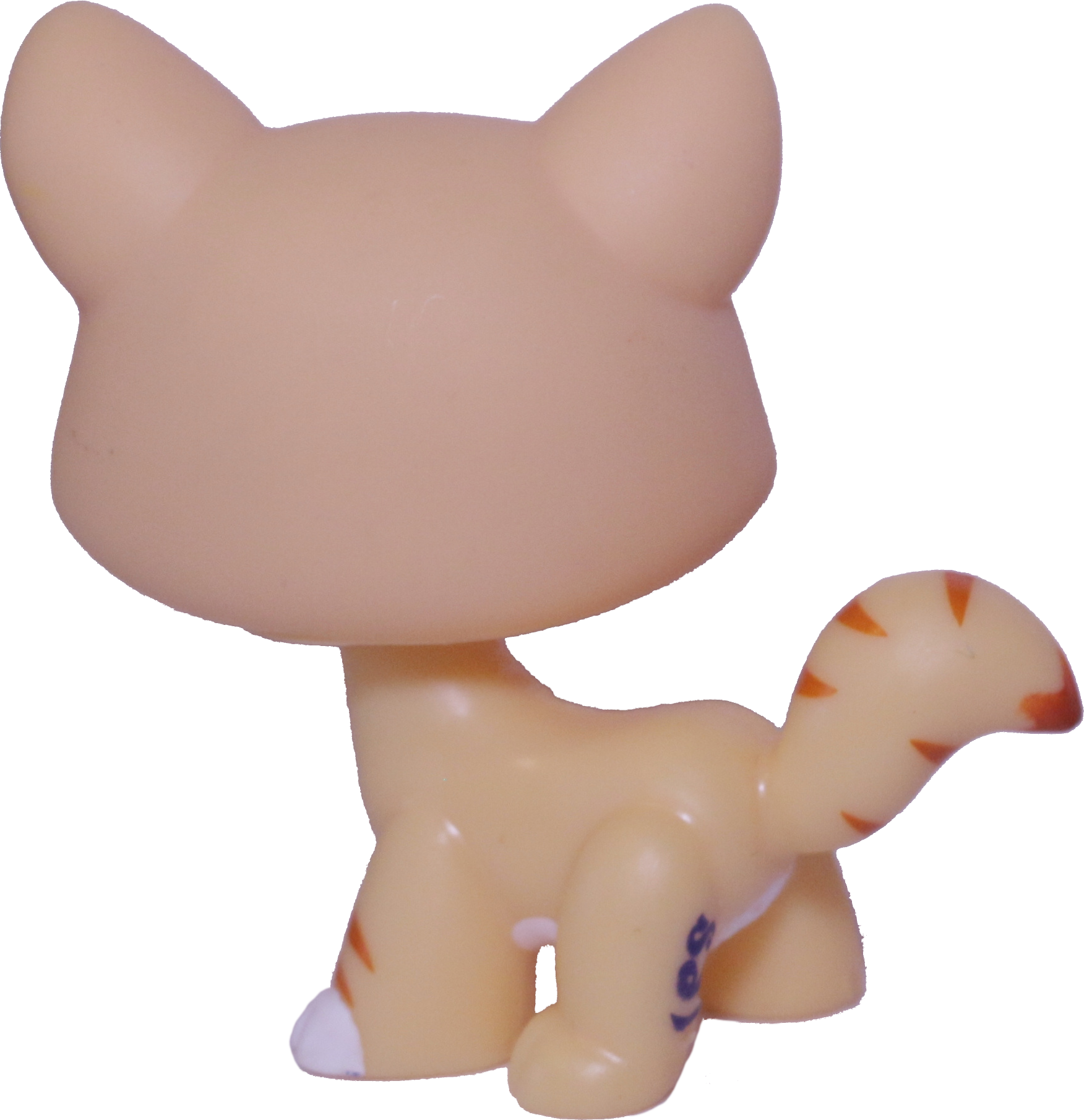#1572 Destiny Cat