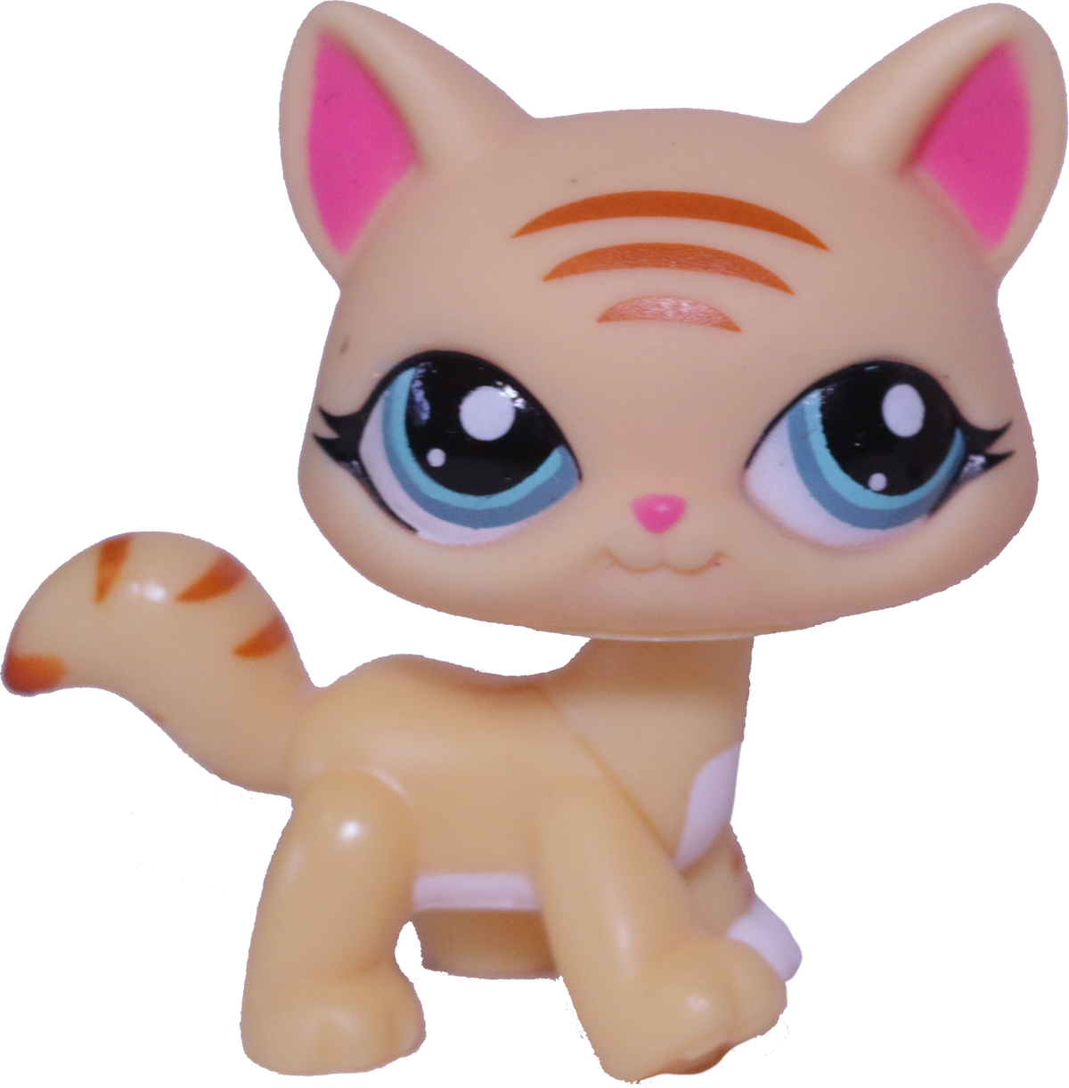 #1572 Destiny Cat