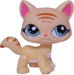 #1572 Destiny Cat