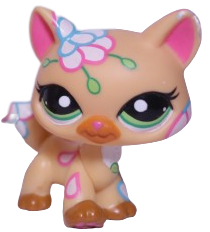 #1582 Destiny Cat