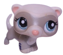#1600 Ferret