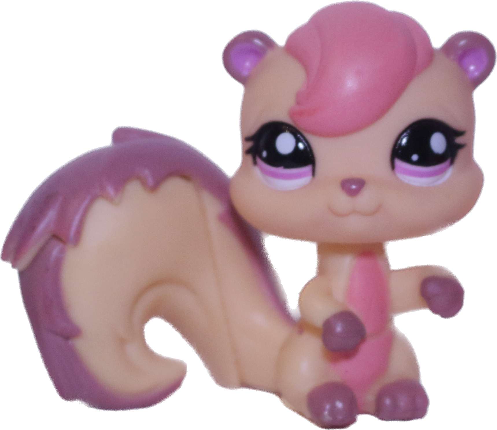 #1601 Squirrel