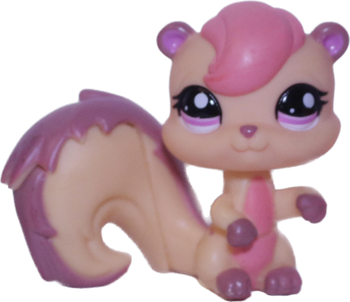 #1601 Squirrel