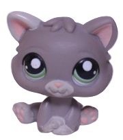 #1607 Kitten
