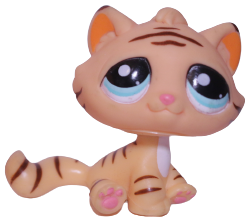 #1608 Sitting Bonbon Cat