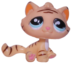 #1608 Sitting Bonbon Cat