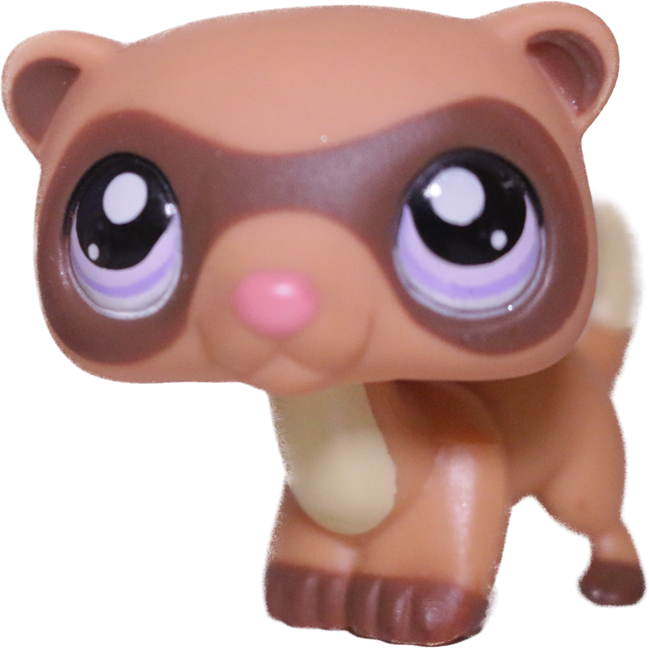 #1612 Ferret
