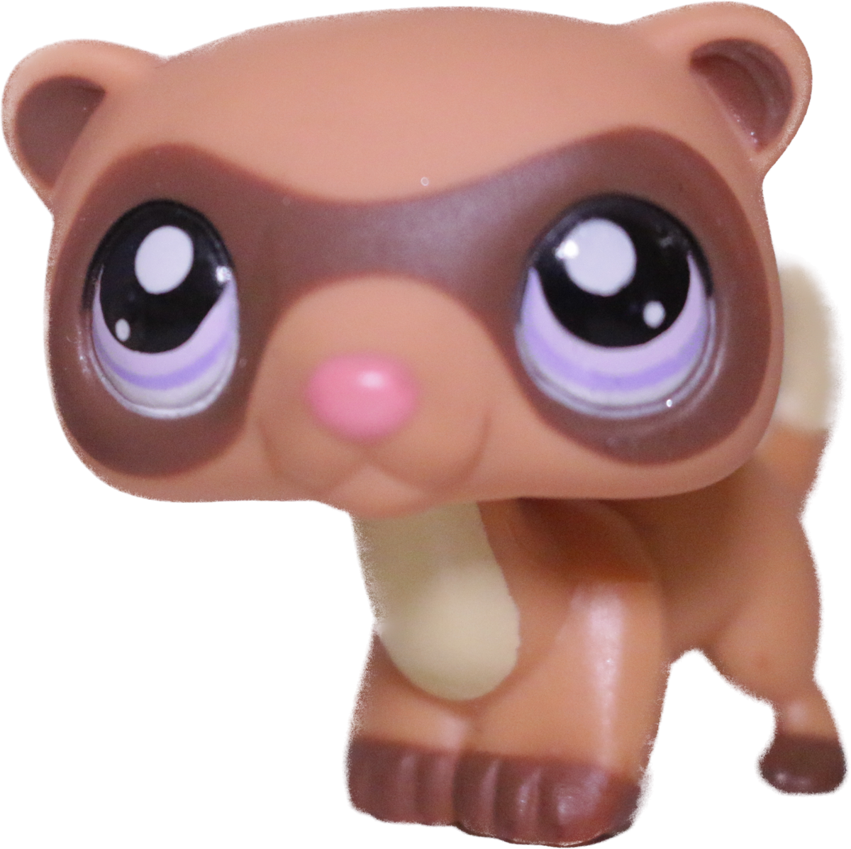 #1612 Ferret