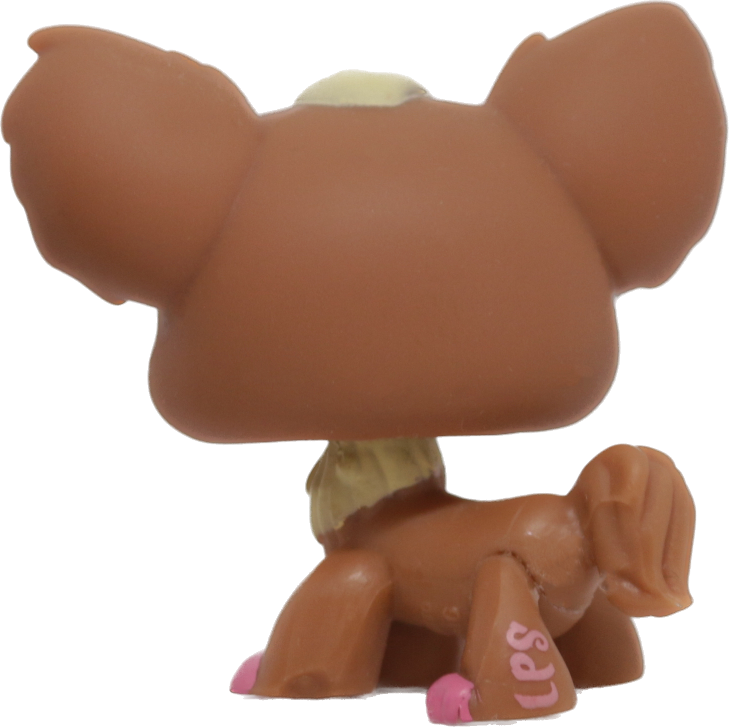 #1623 Chihuahua