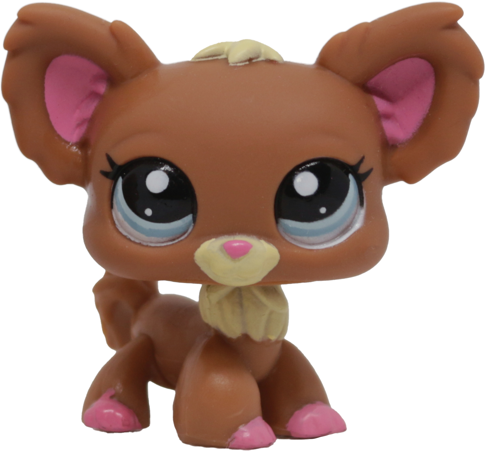 #1623 Chihuahua