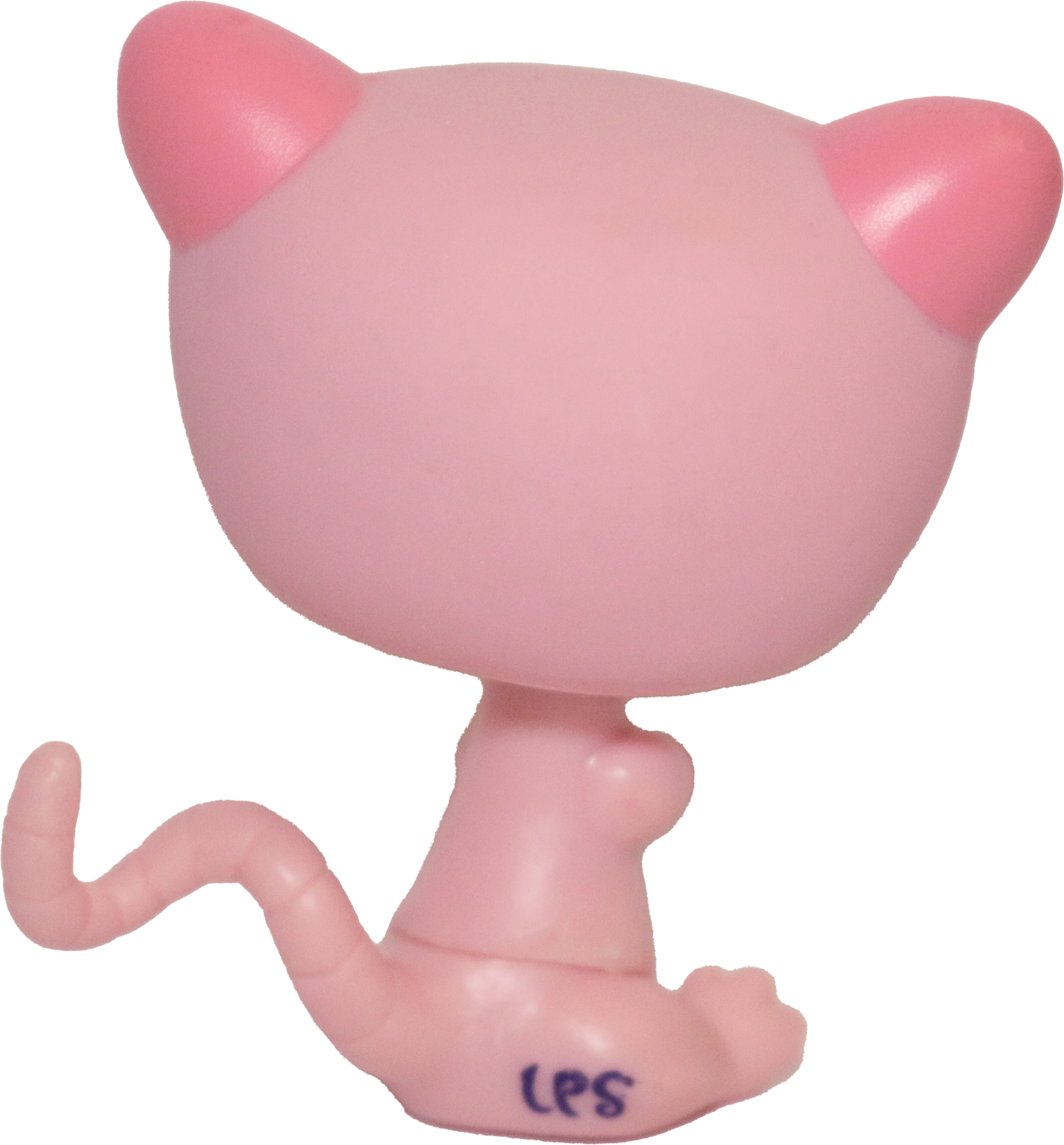#1625 Possum