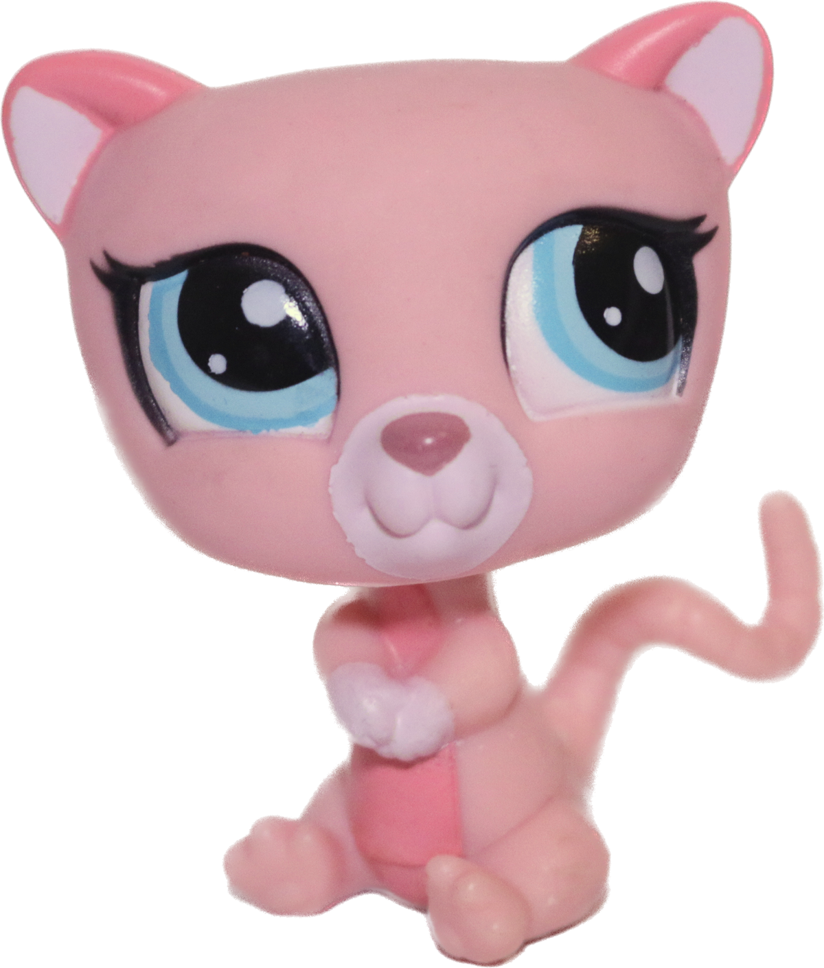 #1625 Possum