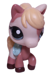 #1629 Horse