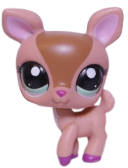 #1677 Deer