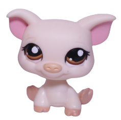 #1693 Pig