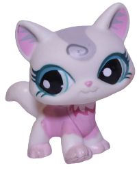 #1699 Destiny Cat