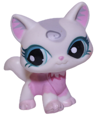 #1699 Destiny Cat