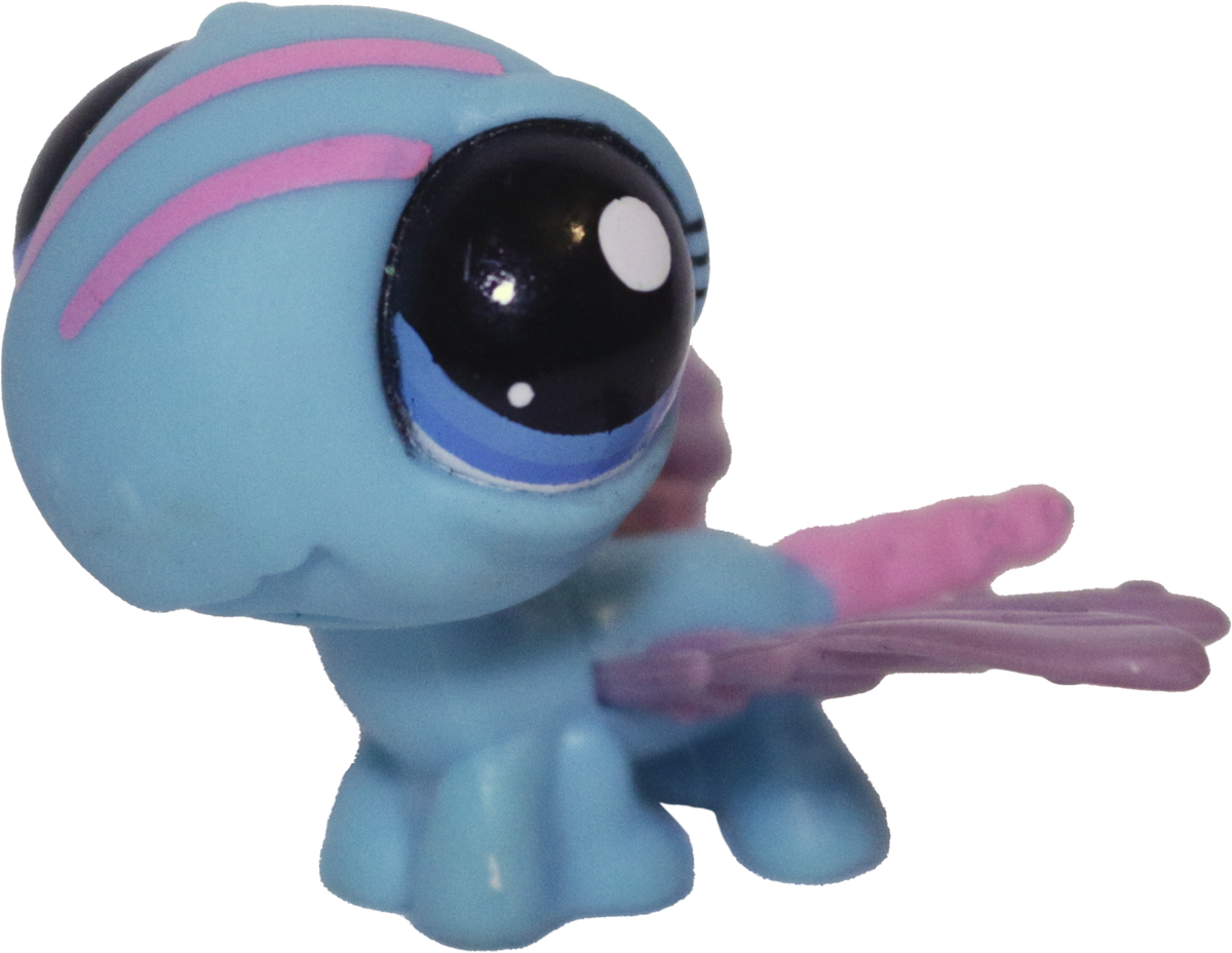 #1725 Dragonfly