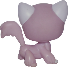 #1726 Angora Longhair Cat