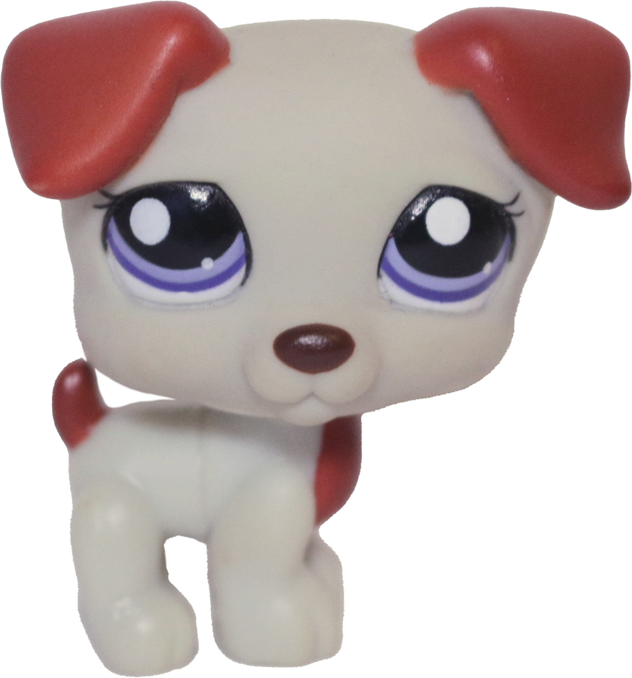 #1743 Jack Russell