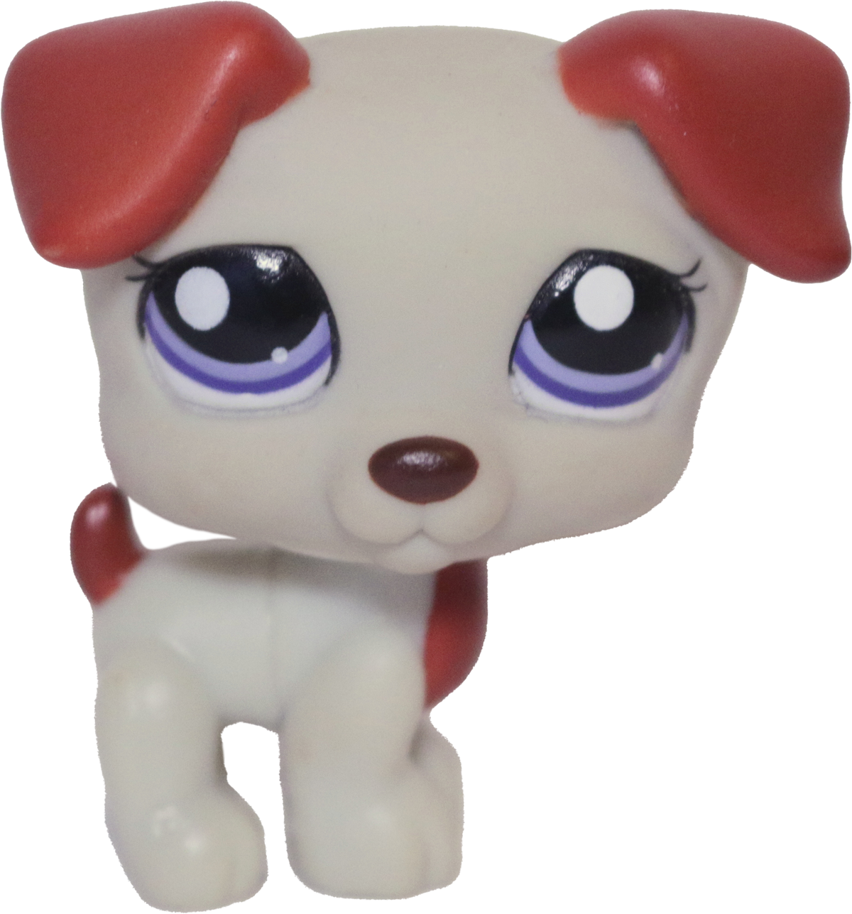 #1743 Jack Russell