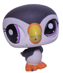 #1748 Puffin