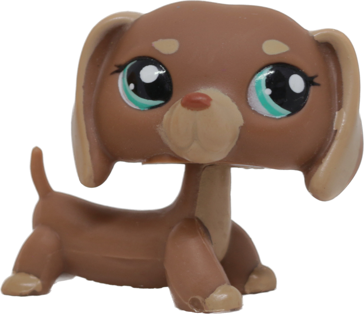 #1751 Dachshund