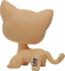 #1764 Shorthair Cat