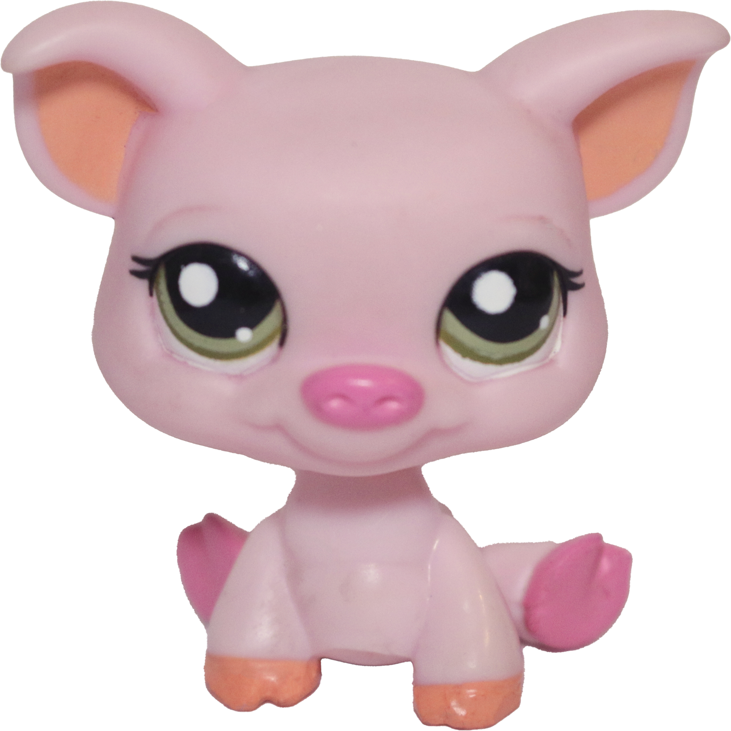 #1781 Pig