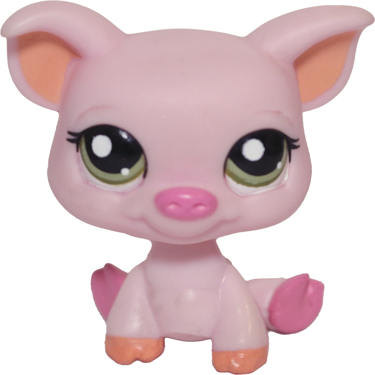 #1781 Pig