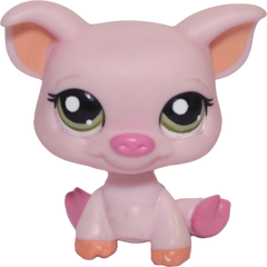 #1781 Pig