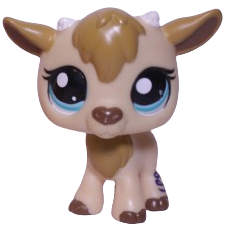 #1786 Goat