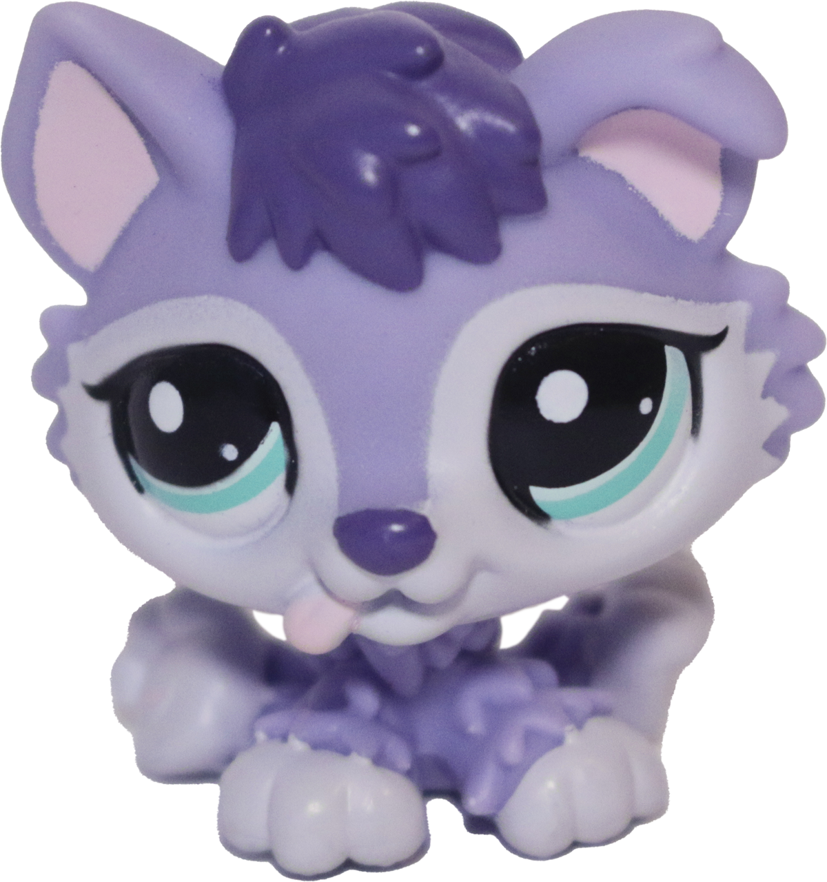 #1810 Husky Puppy