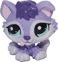 #1810 Husky Puppy