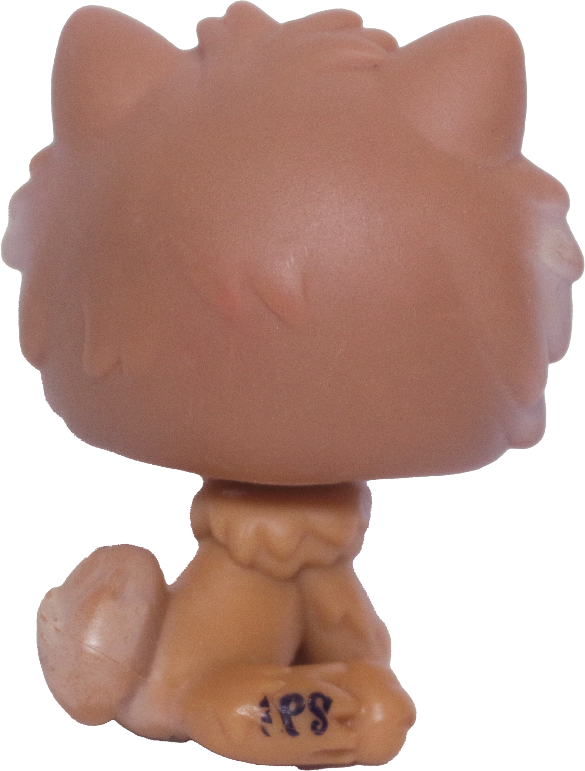 #1831 Chow Chow
