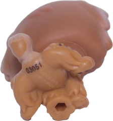 #1831 Chow Chow