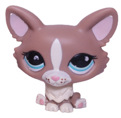 #1864 Corgi