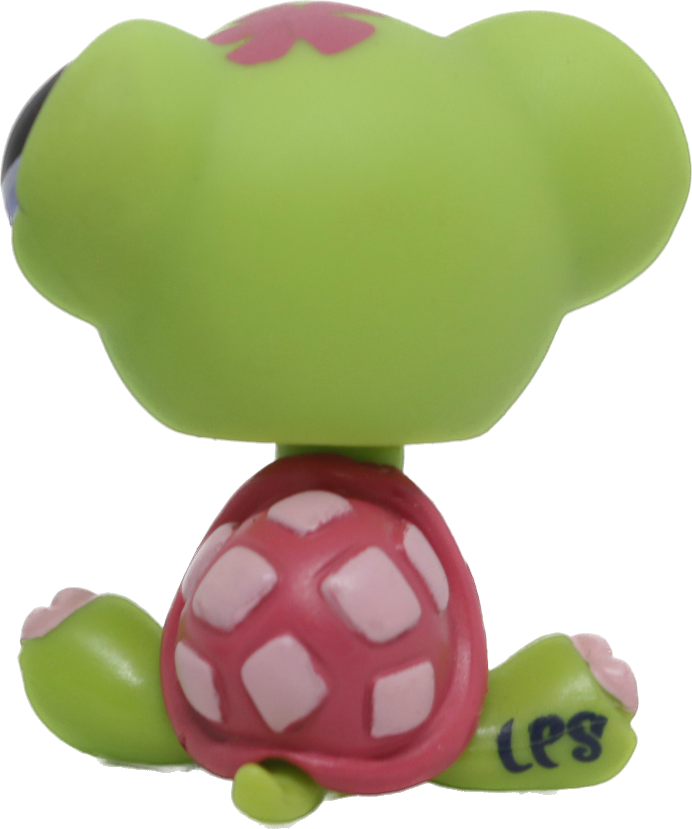 #1885 Turtle