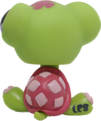 #1885 Turtle