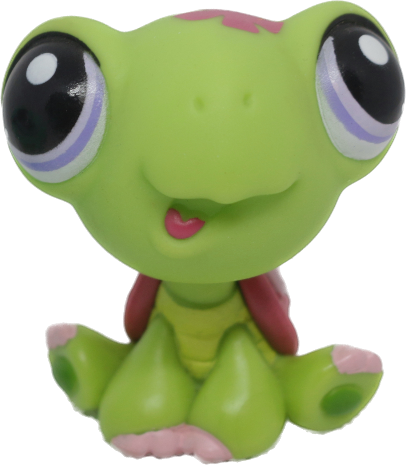 #1885 Turtle